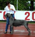 ZORKA 2,5 yers